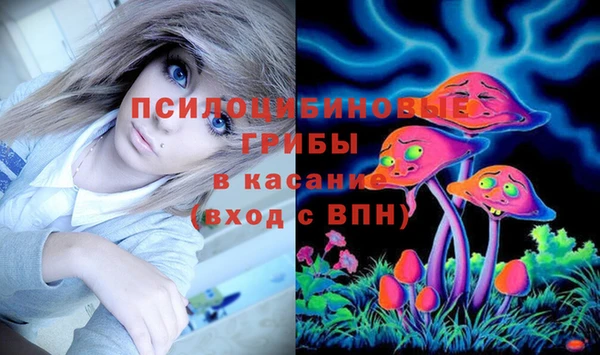 мяу мяу мука Алзамай