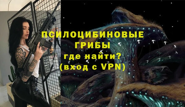 мяу мяу мука Алзамай