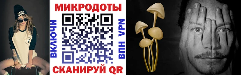 сколько стоит  блэк спрут как войти  Псилоцибиновые грибы мицелий  Саки 